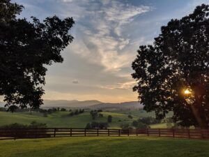 Virginia Farm