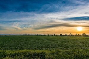 Iowa Landscape