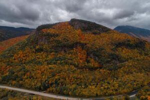 New Hampshire scenic woods