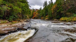 Maryland Stream