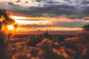 New Mexico Sunset